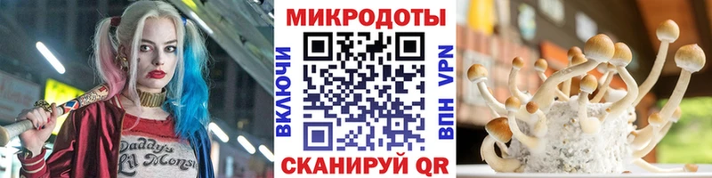 Псилоцибиновые грибы мухоморы  Купить  Каменногорск 